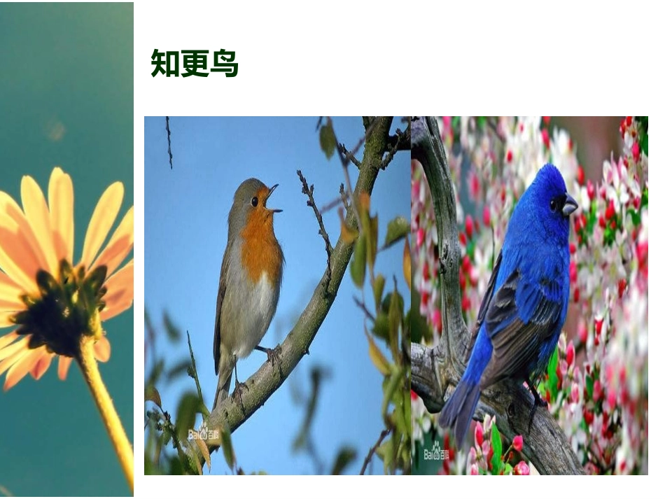 《晨景》PPT课件[五年级音乐上册]_第3页