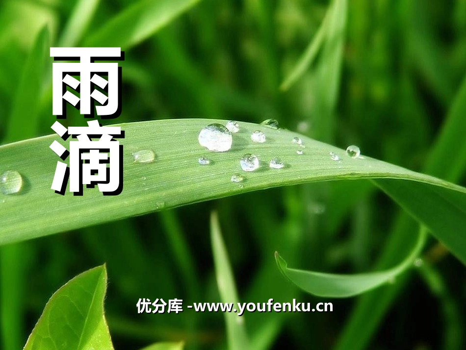 《雨滴》PPT课件[五年级音乐上册]_第1页
