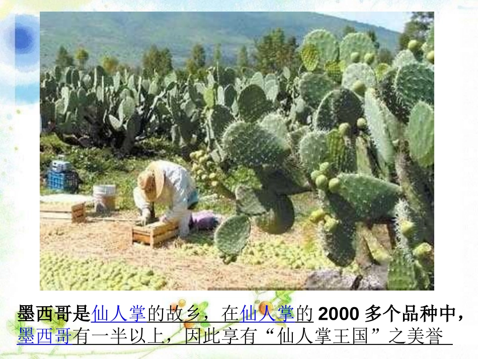 《拉库卡拉查》PPT课件[六年级音乐上册]_第2页