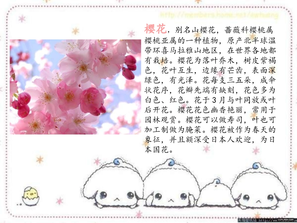 《樱花》PPT课件[七年级音乐上册]_第2页