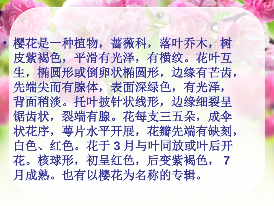 《樱花》PPT课件[七年级音乐上册]_第2页