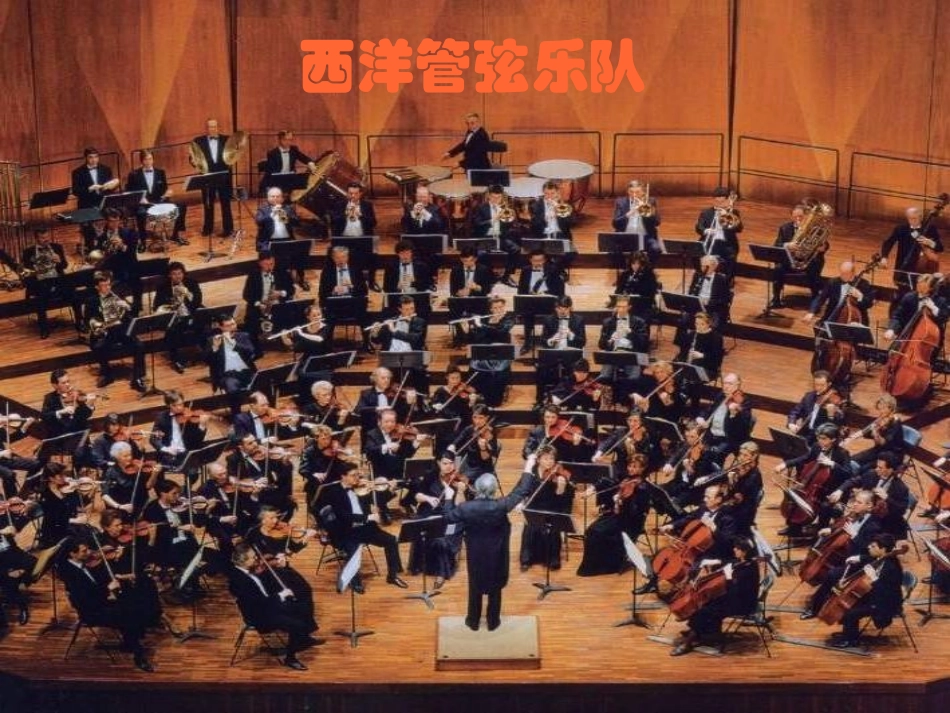 《青少年管弦乐队指南》PPT课件[七年级音乐上册]_第3页