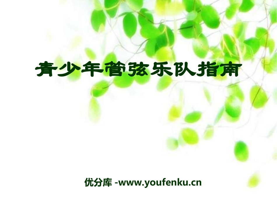 《青少年管弦乐队指南》PPT课件[七年级音乐上册]_第1页