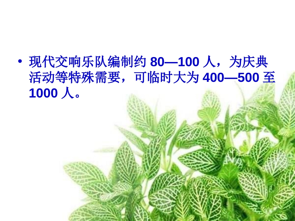 《青少年管弦乐队指南》PPT课件[七年级音乐上册]_第3页