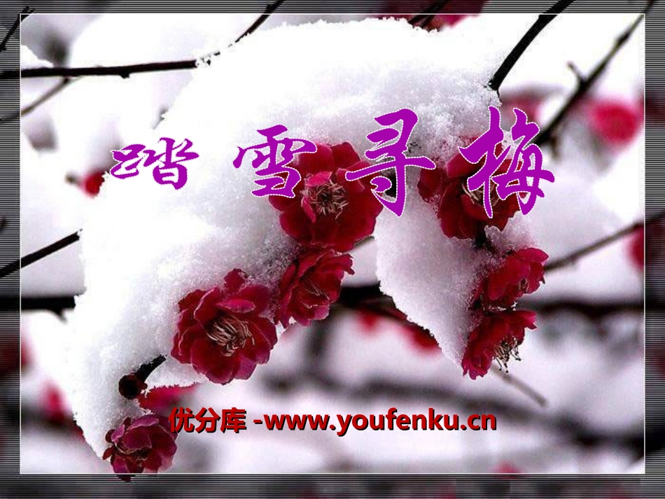 《踏雪寻梅》PPT课件[九年级音乐上册]_第1页