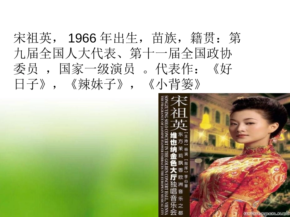 《祖国情》PPT课件[九年级音乐上册]_第3页