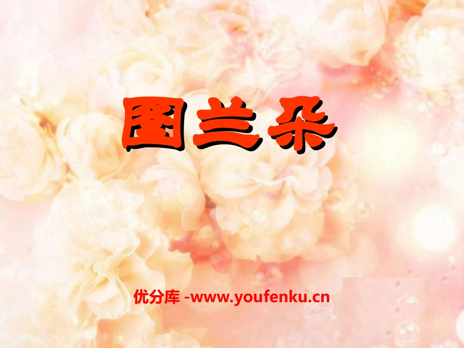 《图兰朵》PPT课件[九年级音乐上册]_第1页
