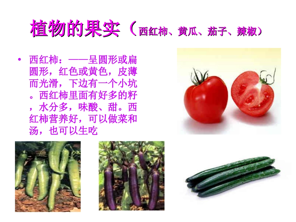 《蔬菜品种多》PPT课件[幼儿园科学课件]_第3页