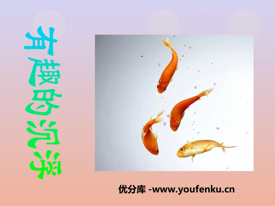 《有趣的沉浮》PPT课件[幼儿园科学课件]_第1页
