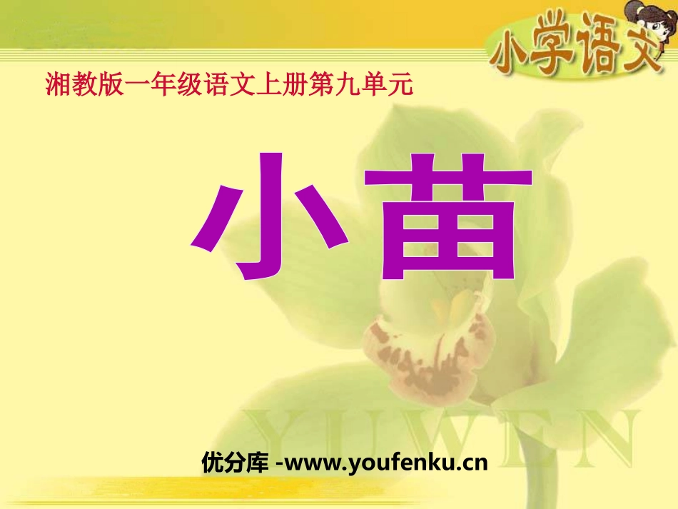 《小苗》PPT课件[湘教版一年级语文上册]_第1页