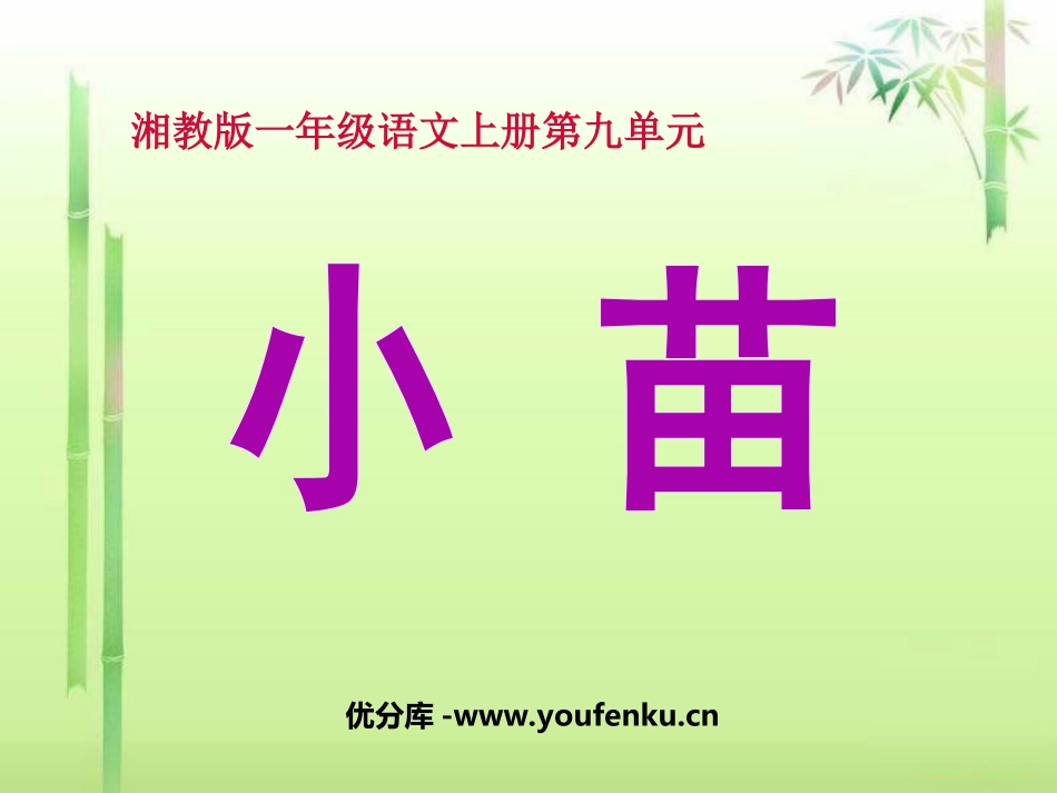 《小苗》PPT课件[湘教版一年级语文上册]_第1页