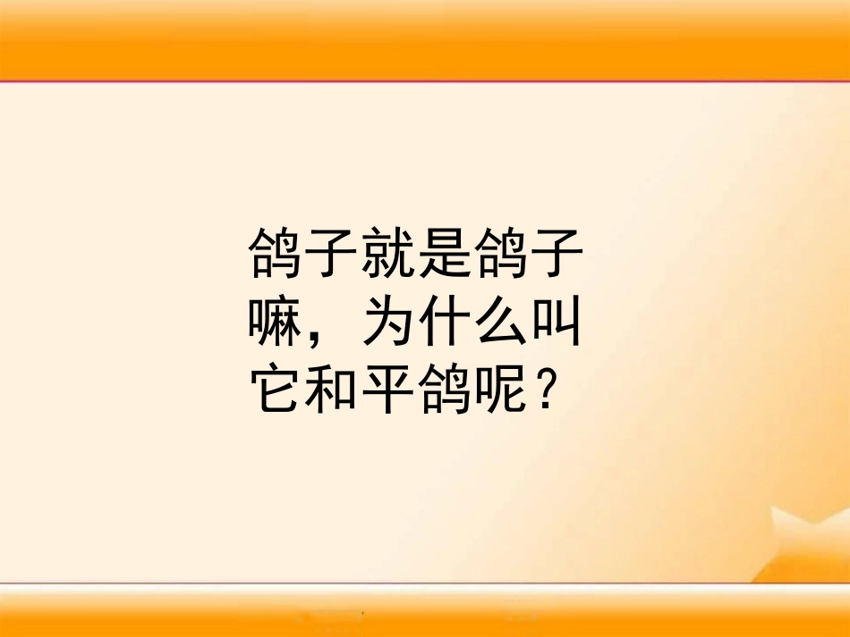 《和平鸽》PPT课件[湘教版一年级语文下册]_第3页