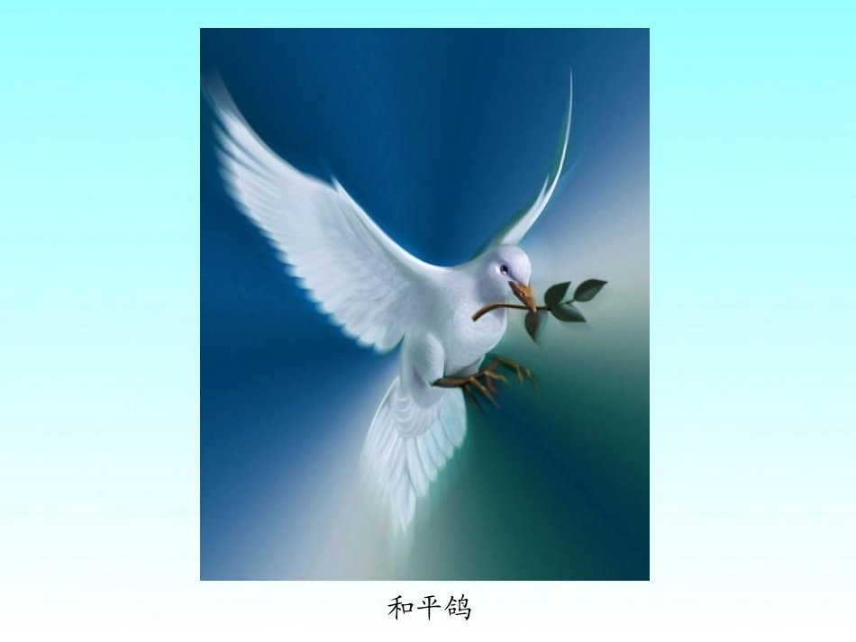 《和平鸽》PPT课件[湘教版一年级语文下册]_第3页
