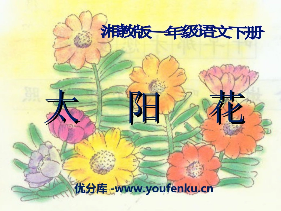 《太阳花》PPT课件[湘教版一年级语文下册]_第1页