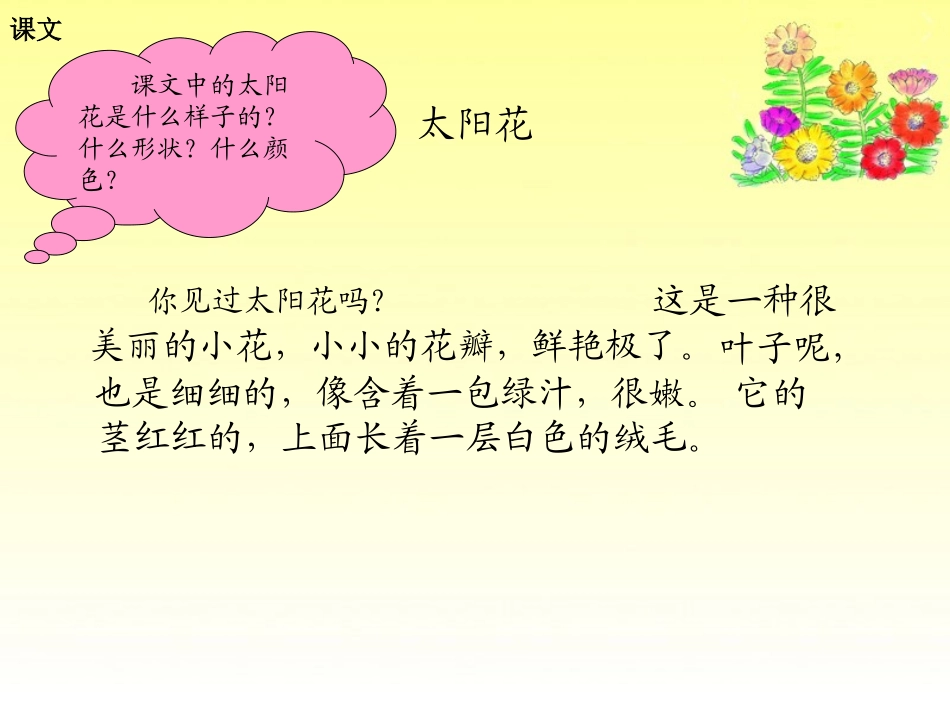 《太阳花》PPT课件[湘教版一年级语文下册]_第2页