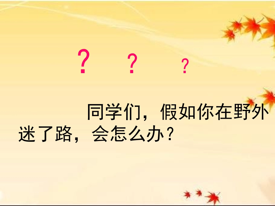 《小鸭,你别急》PPT课件[湘教版一年级语文下册]_第3页