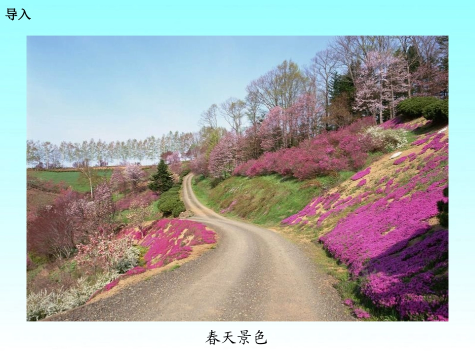 《春天》PPT课件[湘教版一年级语文下册]_第2页