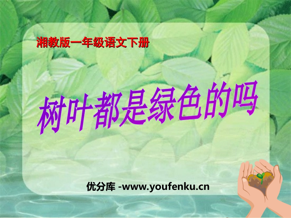 《树叶都是绿色的吗》PPT课件[湘教版一年级语文下册]_第1页