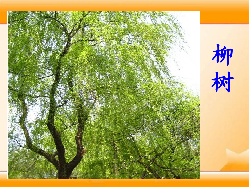 《绝句》PPT课件[湘教版一年级语文下册]_第2页
