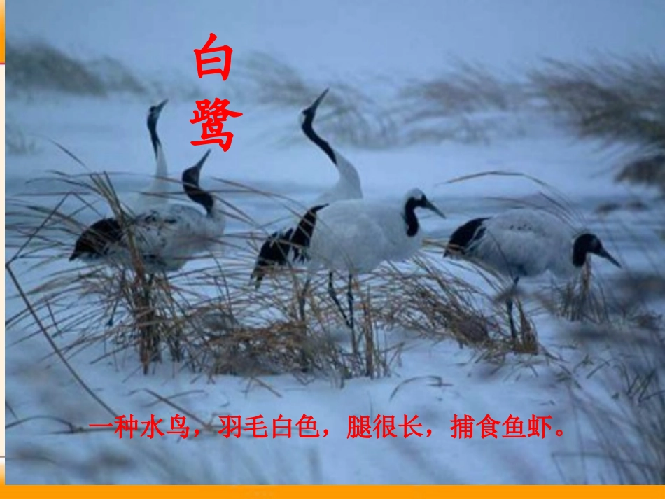 《绝句》PPT课件[湘教版一年级语文下册]_第3页
