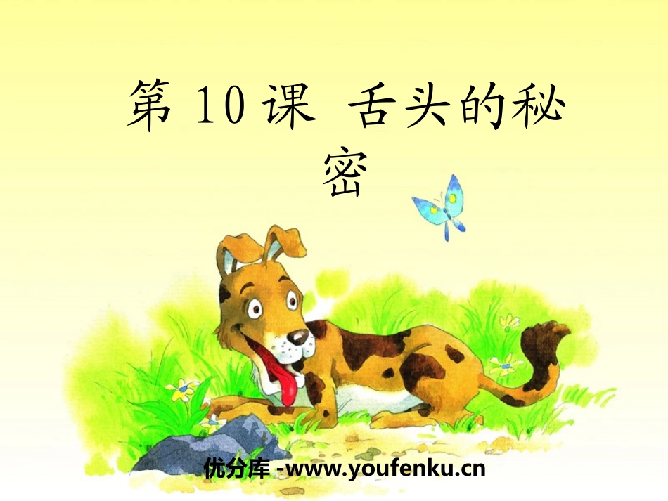 《舌头的秘密》PPT课件[湘教版一年级语文下册]_第1页
