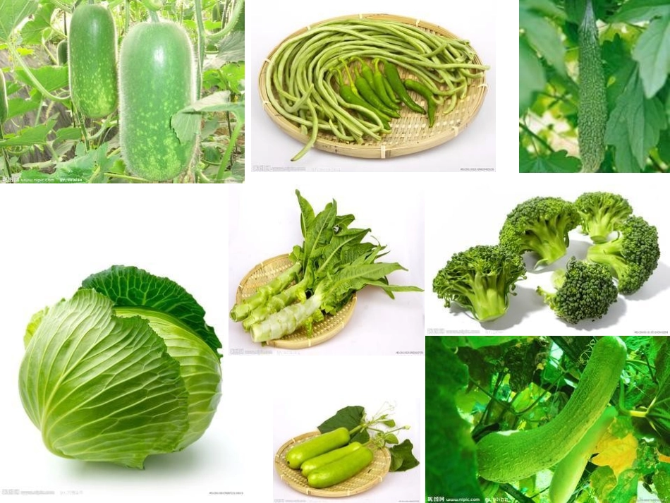 《菜园里的故事》PPT课件[湘教版一年级语文下册]_第3页