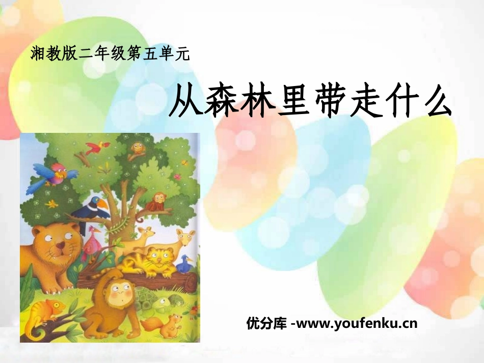 《从森林里带走什么》PPT课件[湘教版二年级语文上册]_第1页