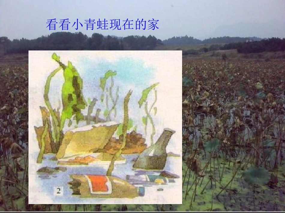 《小青蛙找新家》PPT课件[湘教版二年级语文上册]_第2页