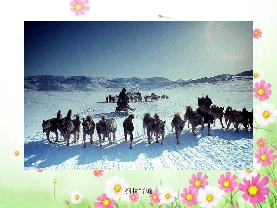 《爱斯基摩人的冰屋》PPT课件[湘教版二年级语文上册]_第2页