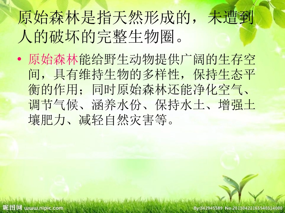 《祖先的摇篮》PPT课件[湘教版二年级语文上册]_第3页