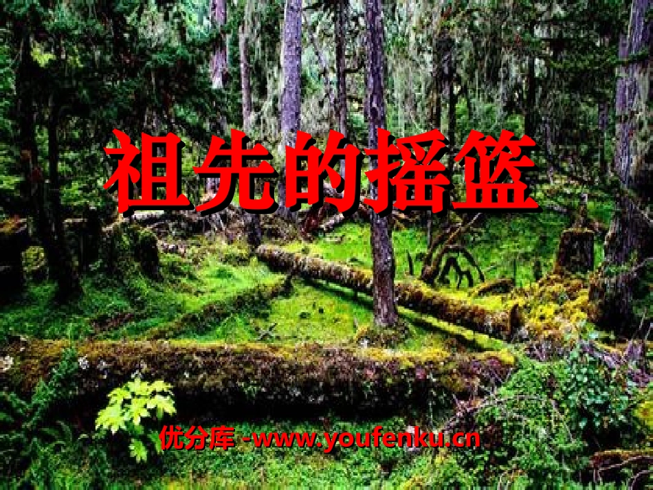 《祖先的摇篮》PPT课件[湘教版二年级语文上册]_第1页