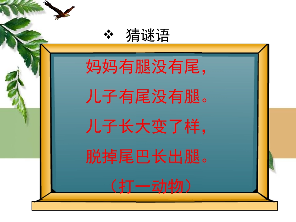 《两只青蛙》PPT课件[湘教版二年级语文下册]_第2页