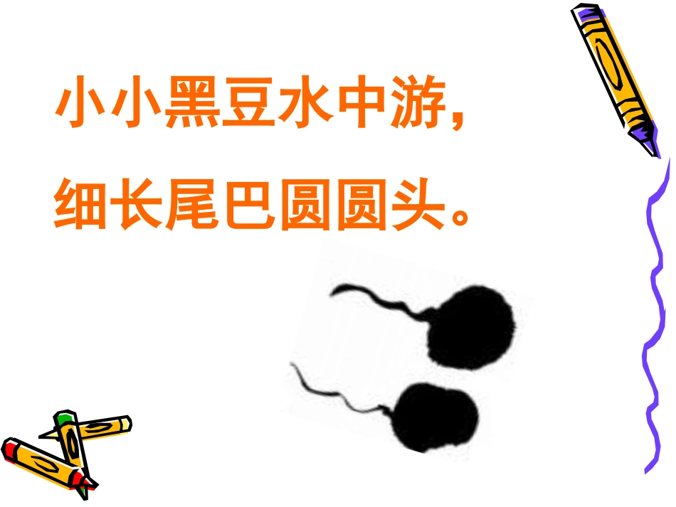 《小蝌蚪》PPT课件[湘教版二年级语文下册]_第2页