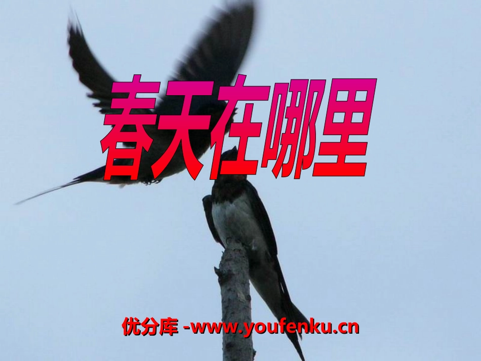 《春天在哪里》PPT课件[湘教版二年级语文下册]_第1页