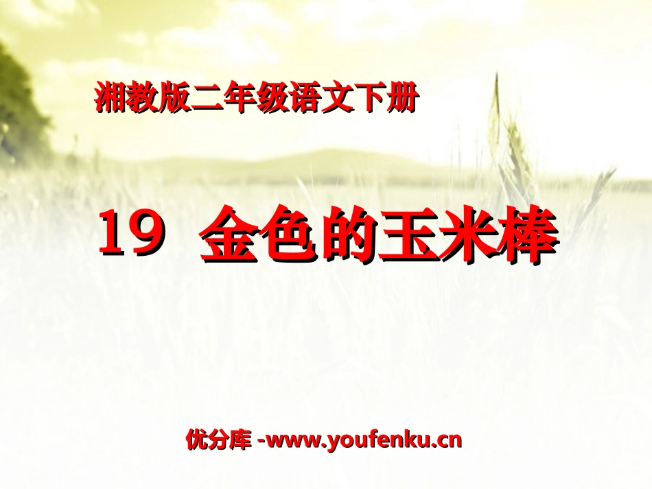 《金色的玉米棒》PPT课件[湘教版二年级语文下册]_第1页