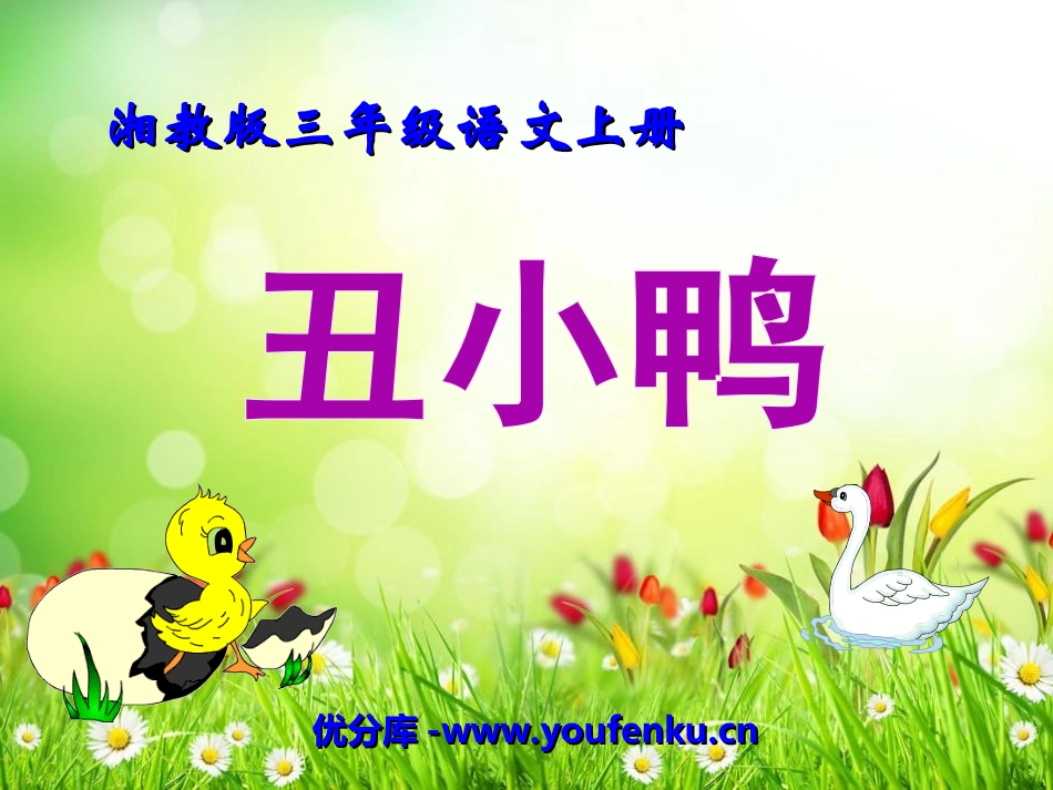 《丑小鸭》PPT课件[湘教版三年级语文上册]_第1页