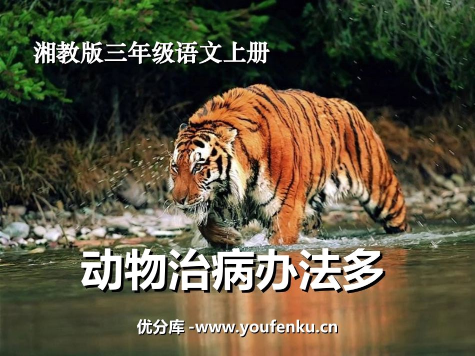 《动物治病办法多》PPT课件[湘教版三年级语文上册]_第1页