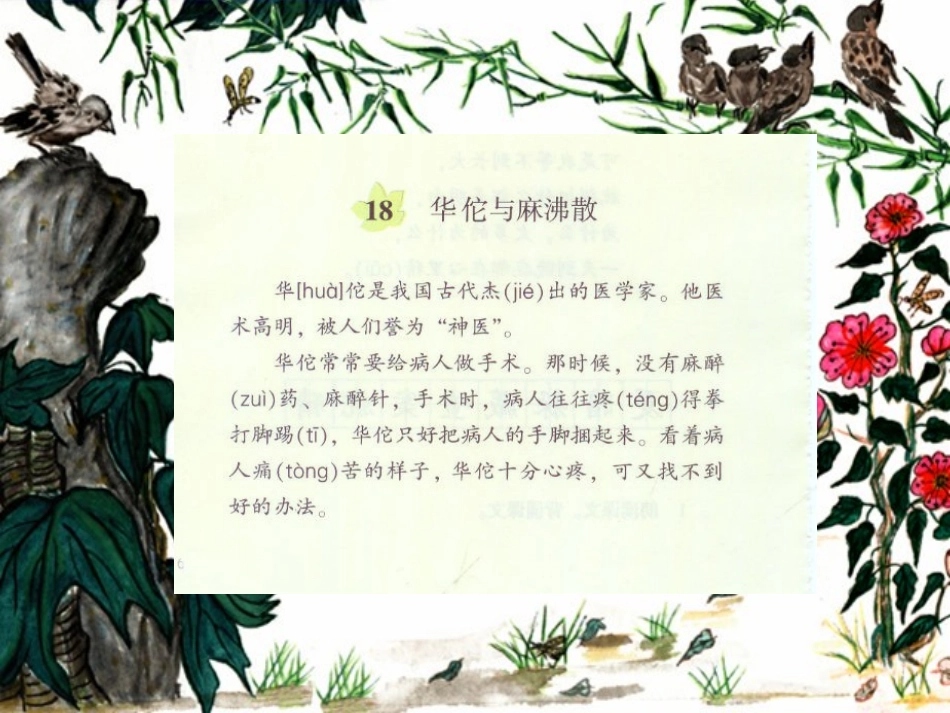 《华佗与麻沸散》PPT课件[湘教版三年级语文上册]_第2页