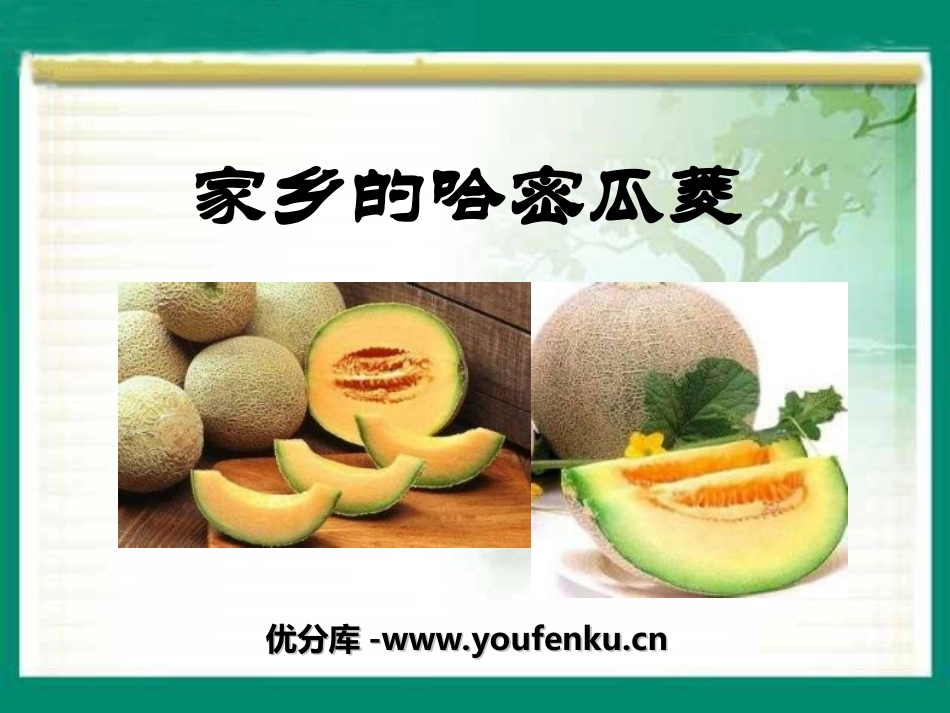《家乡的哈密瓜菱》PPT课件[湘教版三年级语文上册]_第1页