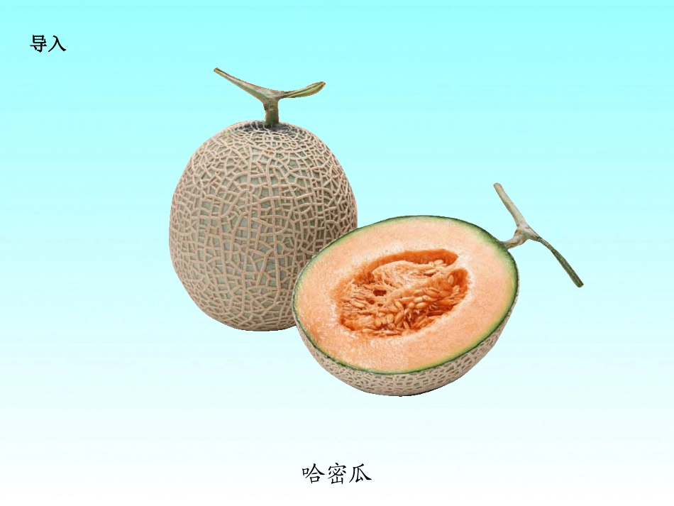 《家乡的哈密瓜菱》PPT课件[湘教版三年级语文上册]_第2页