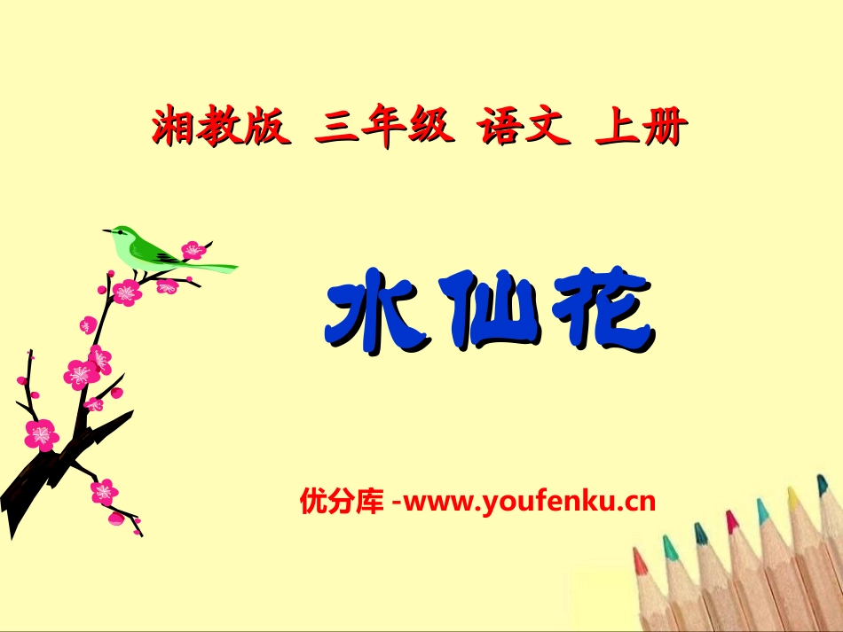 《水仙花》PPT课件[湘教版三年级语文上册]_第1页