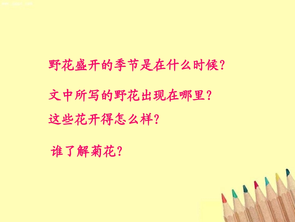 《水仙花》PPT课件[湘教版三年级语文上册]_第3页