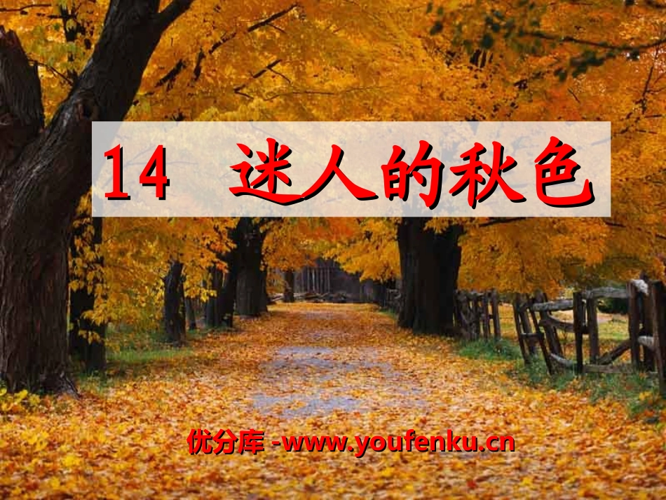 《迷人的秋色》PPT课件[湘教版三年级语文上册]_第1页