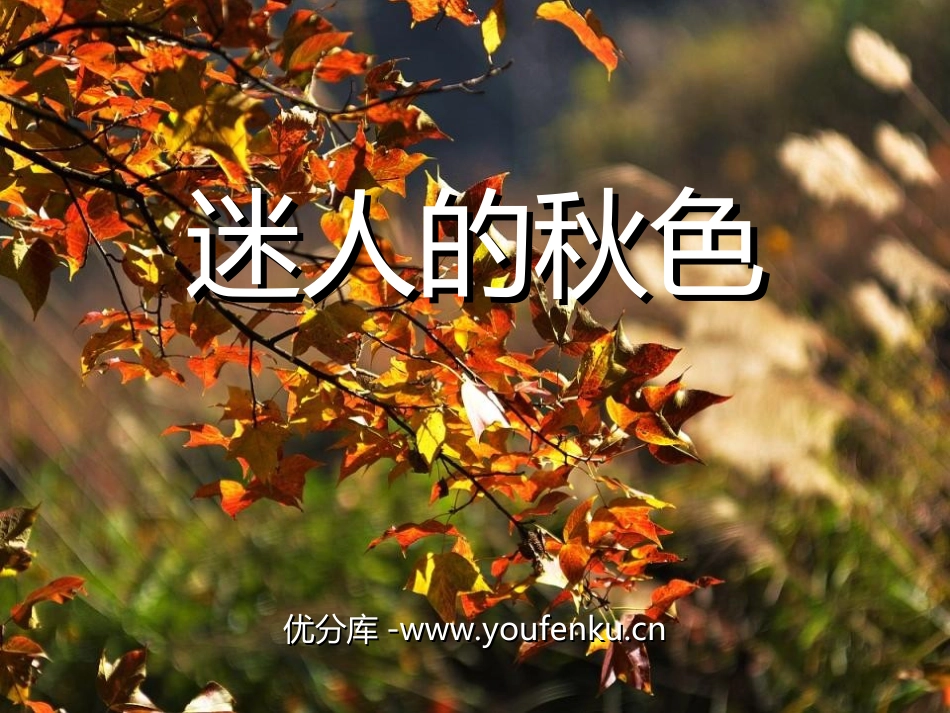 《迷人的秋色》PPT课件[湘教版三年级语文上册]_第1页