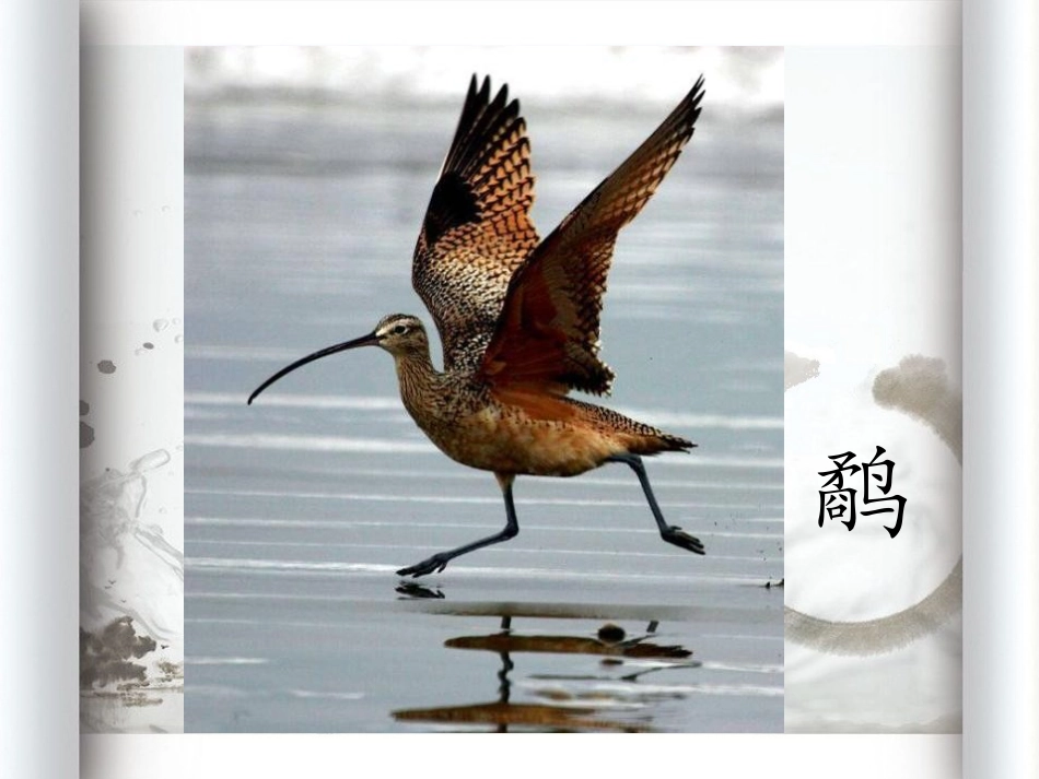 《鹬蚌相争》PPT课件[湘教版三年级语文上册]_第1页