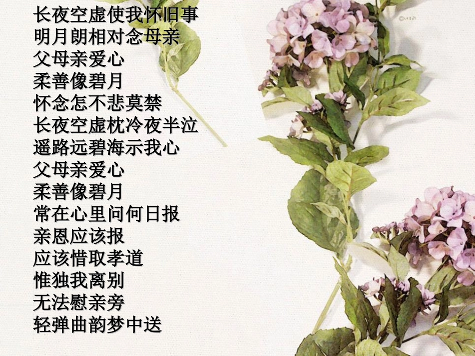 《“护蛋”行动》PPT课件[湘教版三年级语文下册]_第1页
