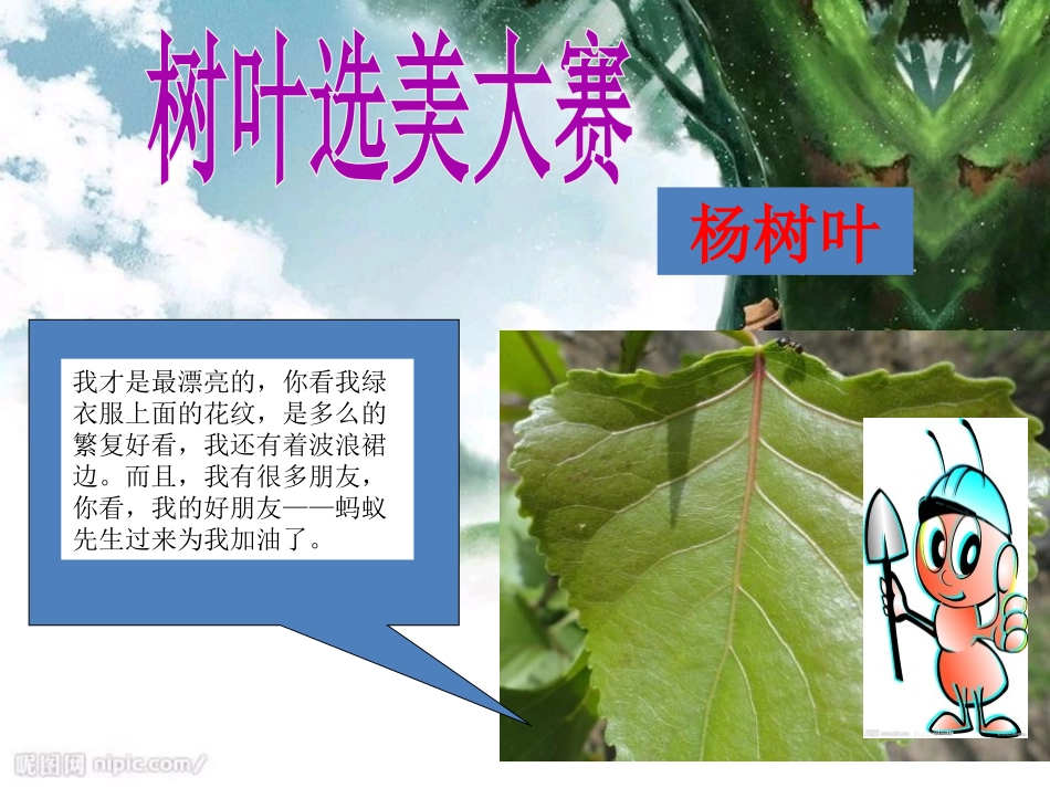 《我是一片小树叶》PPT课件[湘教版三年级语文下册]_第3页