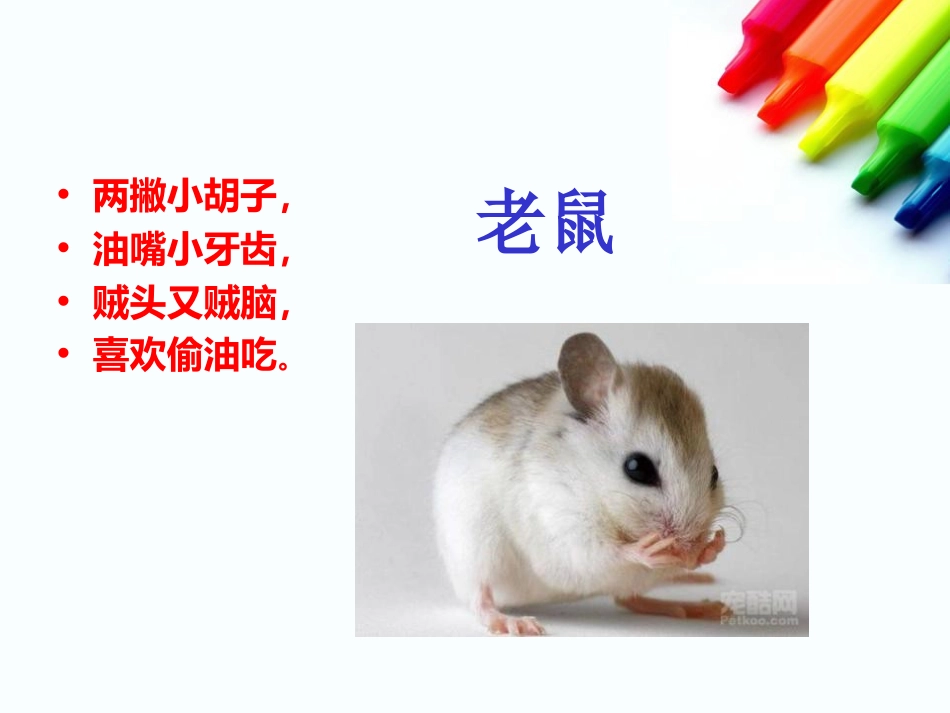 《我的动物朋友》PPT课件[湘教版三年级语文下册]_第3页