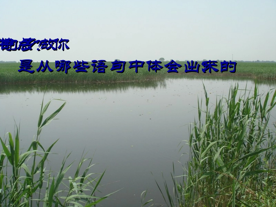 《故乡的芦苇》PPT课件[湘教版三年级语文下册]_第2页