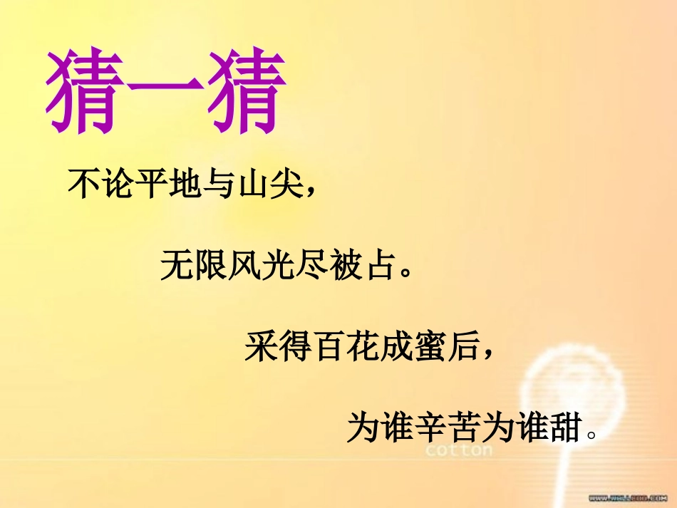 《清晨,谁在为我们忙碌》PPT课件[湘教版三年级语文下册]_第1页